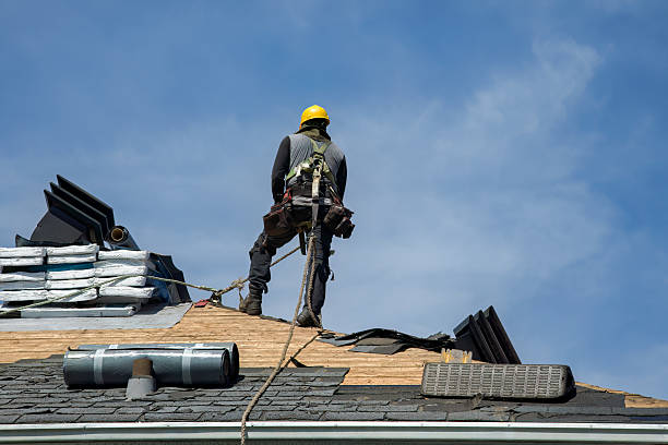 Professional Gutter Installation technician working in Canistota, SD